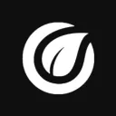 Orchard.Church Online