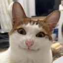BaoCord