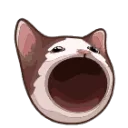 Verified Yappers discord icon