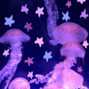 ocean haven °‧🫧⋆.ೃ࿔*:･ Discord server icon