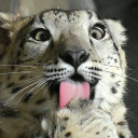 ࿐Earth࿔ Discord server icon