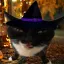 El Halloween AlBOOno