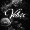 Discovery icon for VelviX | Social • Chill • SFW • Active • VCs • Music • Gaming • Giveaways Discord server
