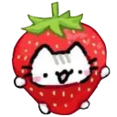 🌿⋆ 🍓 𝐸𝓁 𝐻𝓊𝑒𝓇𝓉𝒾𝓉♡ 🍓 ⋆🌿