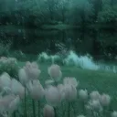 ✧.* 𝘊𝘰𝘯𝘯𝘦𝘤𝘵𝘰𝘳 𝘊𝘰𝘷𝘦 ⋆·˚ ༘ *