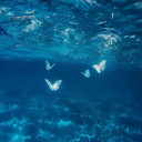 multistan nerds Discord server icon