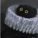 Where There's a Whip