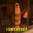 robert, help ⚫👄⚫