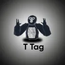 T Tag Main discord