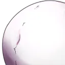 クジャクの羽;
