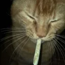 /32