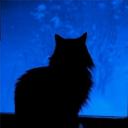 Introvert & Insomniac