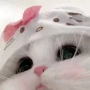 バカえぐいいつでもなかよし