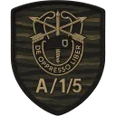 A Co, 1st Btn, 5th SFG(A)