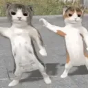 Cool community