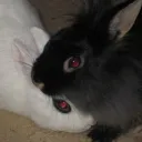 𝕀ℕ𝔽𝕀ℕ𝕀𝕋𝔼