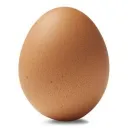 EGG HUNT.