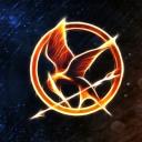 Survive the Hunger Games