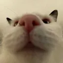 < [ MULTIVERSE CRASH ] >