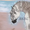 𝐒𝐭𝐚𝐫 𝐒𝐭𝐚𝐛𝐥𝐞 𝐁𝐞𝐚𝐜𝐡 𝐋𝐨𝐝𝐠𝐞