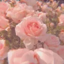 𝑳𝒆𝑷𝒐𝒆𝒂