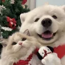 Veilbound Keep discord icon