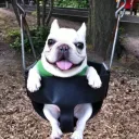 Veilbound Keep Discord Server Icon