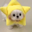 Veilbound Keep discord icon