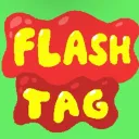 Flash tag