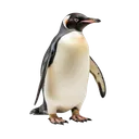 🐧 cryowisp