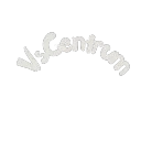 VsCentrum.pl 250 PLN | KONKURS