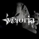 𐔌      ࣪    veloria   ⏖　scl & icon