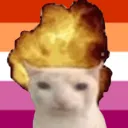 meowcatmimi's server