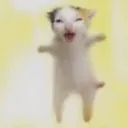 meowcatmimi's server
