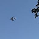 Aeroplane avatar