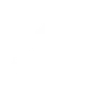 Kingston Young-ish Community