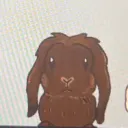 Bunny Buddies ˗ˏˋ ꒰ 💌 ꒱ ˎˊ˗