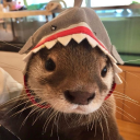 The FreakyDeekyDen Discord server icon