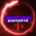 SKYFLOW ESPORTS