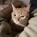 集いの場