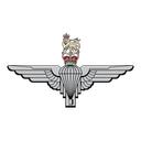 2PARA | A Company Discord Server Icon