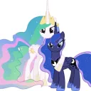 Equestria Brony 🐎 🦄