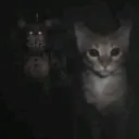 Five nights at Rexy's