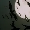 𝔙𝔢𝔰𝔭𝔢𝔯𝔱𝔦𝔩𝔦 ⚸