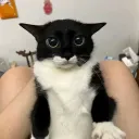 tonk Discord Server Icon