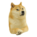 Doge Server Discord server icon