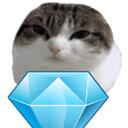 Cati'co. |  猫  | Discord Server Icon