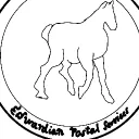 The Edwardian Postal services (T.E.P.S)