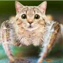 Friends of Friends Discord server icon