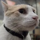 Friends of Friends Discord server icon